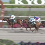 【競馬】ユニコーンSは吉村誠之助騎乗のカナルビーグルがV