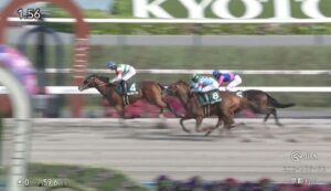 【競馬】ユニコーンSは吉村誠之助騎乗のカナルビーグルがV