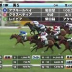 【葵S】変な馬来すぎてワロタwwwww