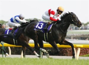 【訃報】ダノンシャンティが死亡