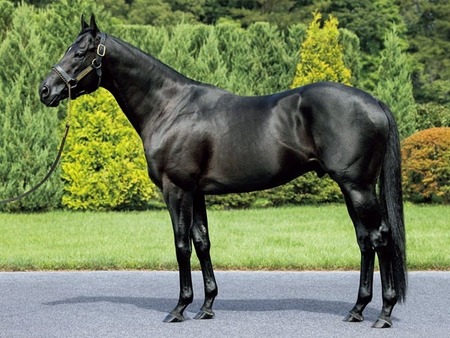 【悲報】コントレイル最高傑作2歳馬が6/7デビュー延期