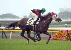 「オーナーの思いもあるので」ホウオウアートマン中1週でダービー出走へ