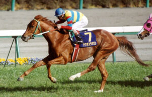 アグネスタキオンという幻の三冠馬