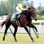 【新潟大賞典】シリウスコルトが逃げ切ってV!人馬ともにJRA重賞初制覇