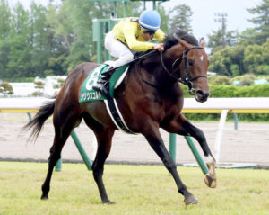 【新潟大賞典】シリウスコルトが逃げ切ってＶ！人馬ともにJRA重賞初制覇