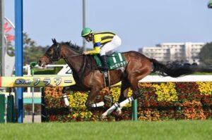 【オークス】レーゼドラマ坂井瑠星の逃げに期待しているヤツ