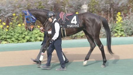 フローラS2着ヴァルキリーバースはオークスを回避