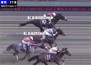 チェルビアット･ディー騎手「あそこまでいったら勝ちたかった。運がなかった」