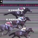 【NHKマイルC】マイケル・ディー穴馬持ってきてて草