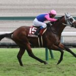 メイショウタバル 引き続き武豊で宝塚記念へ