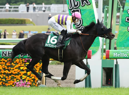 【エプソムC】6番人気セイウンハーデスが差し切りレコード圧勝!2年ぶり重賞制覇