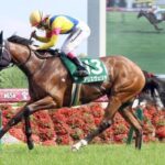 【ヴィクトリアM】アリスヴェリテが大穴開ける