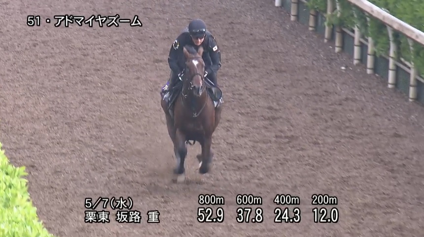 【NHKマイルカップ2025】追い切り/調教を見てわかる事