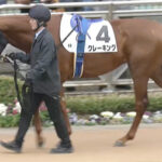 【競馬予想】第30回ユニコーンステークス(G3) / 2025