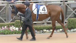 【競馬予想】第30回ユニコーンステークス(G3) / 2025