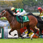 サートゥルナーリア産駒、悲しいほど成長力がない