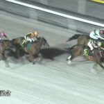 【かしわ記念】シャマルが連覇達成!1番人気コスタノヴァは3着