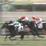 【競馬】中山6Rリカビトス強すぎワロタwwwww 【直線で10頭ごぼう抜き】
