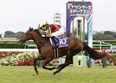 アーモンドアイ2番子とグランアレグリア初子入厩 2歳新馬頂上決戦