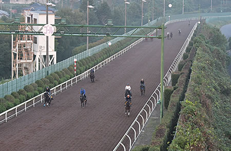 【2歳新馬】ゾロアストロがGⅠ馬相手に互角の動き