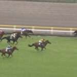 【競馬】エプソムCは幸騎乗のセイウンハーデスがV
