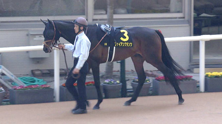 青葉賞2着ファイアンクランツ　佐々木との再コンビで日本ダービー参戦