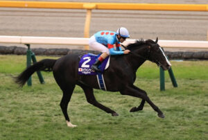イクイノックスの唯一の汚点→クラシック勝ってない