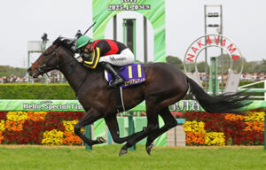 皐月賞馬ミュージアムマイルはレーンとの新コンビでダービーへ