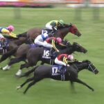 【競馬】ヴィクトリアマイルはルメール騎乗のアスコリピチェーノがV