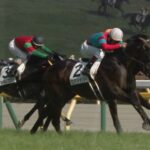 【競馬/阪神大賞典】ワンアンドオンリーがサトノダイヤモンドを倒せる可能性ってどれぐらい?