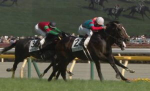 【競馬/阪神大賞典】ワンアンドオンリーがサトノダイヤモンドを倒せる可能性ってどれぐらい？