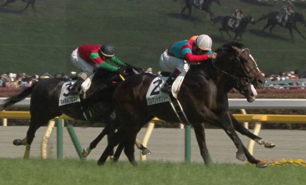 【競馬/阪神大賞典】ワンアンドオンリーがサトノダイヤモンドを倒せる可能性ってどれぐらい?