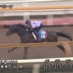 【新潟大賞典2025】追い切り/調教を見てわかる事