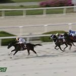【兵庫チャンピオンシップ2025】結果・動画/マテンロウコマンドが突き抜け快勝