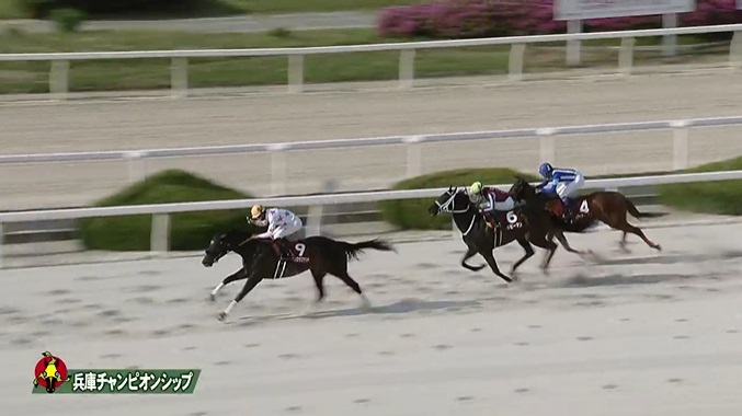 【兵庫チャンピオンシップ2025】結果・動画/マテンロウコマンドが突き抜け快勝