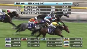 【NHKマイルC】マジックサンズ武豊上手すぎwww