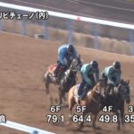 【ヴィクトリアマイル2025】追い切り/動きからレースを紐解く