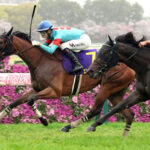 【オークス】ダイワメジャーの血が入った馬で、2400の重賞勝ったことある馬いる?