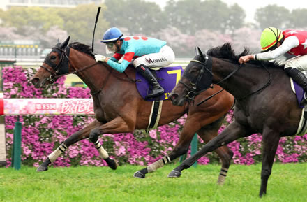 【オークス】ダイワメジャーの血が入った馬で、2400の重賞勝ったことある馬いる？