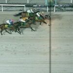 【競馬】かしわ記念は川須騎乗のシャマルが連覇達成