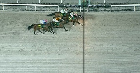 【競馬】かしわ記念は川須騎乗のシャマルが連覇達成