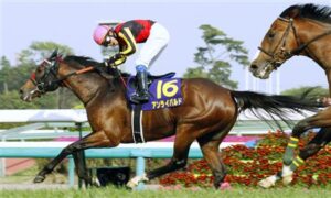 【訃報】09年皐月賞馬アンライバルドが繋養先で死亡