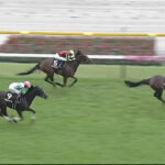オークス除外エストゥペンダ怒りのカーネーションC出走・・・結果は