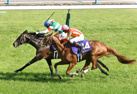 【天皇賞・春】ヘデントールが頭差の激闘制しV!重賞2連勝でG1初制覇