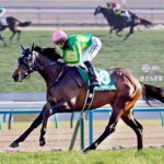 サトノシャイニングは武豊で日本ダービー