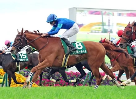 【葵S】大波乱15人気のアブキールベイがV!岩田望来がバースデー勝利