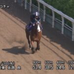 【京王杯スプリングカップ2025】追い切り/動きを見極め勝利に近づけ