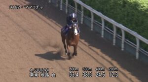 【京王杯スプリングカップ2025】追い切り/動きを見極め勝利に近づけ
