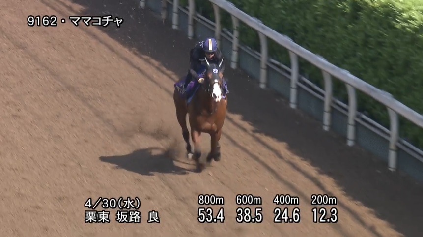 【京王杯スプリングカップ2025】追い切り/動きを見極め勝利に近づけ
