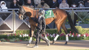 【ヴィクトリアM】ミアネーロ右前肢跛行で出走取消し